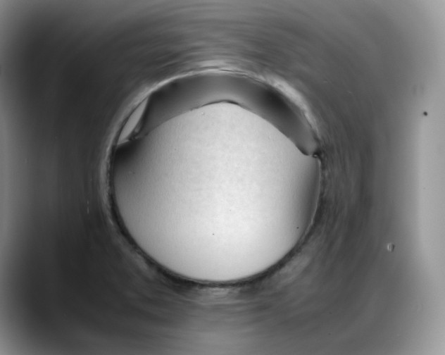 X0000088091373200706081741