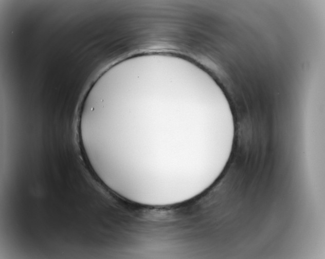 X0000088091374200706081741