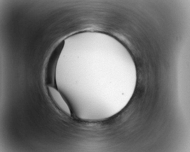 X0000088091375200706081741