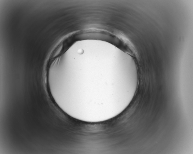 X0000088091376200706081741