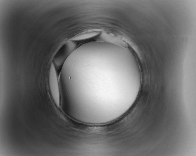 X0000088091377200706081741
