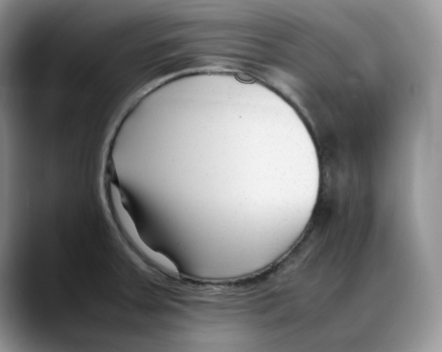X0000088091379200706081741