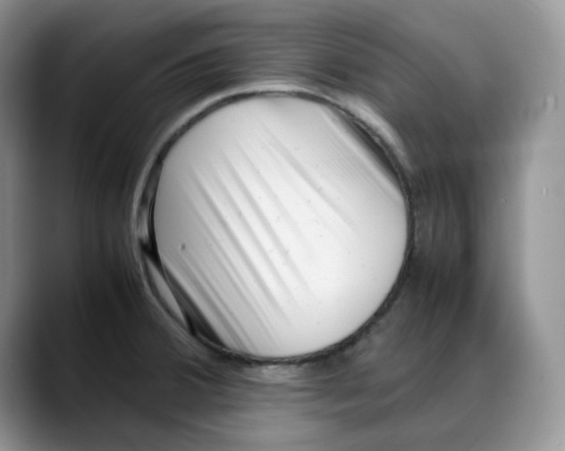X0000088091380200706081741