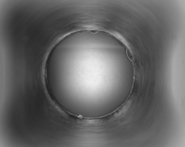 X0000088091381200706081741