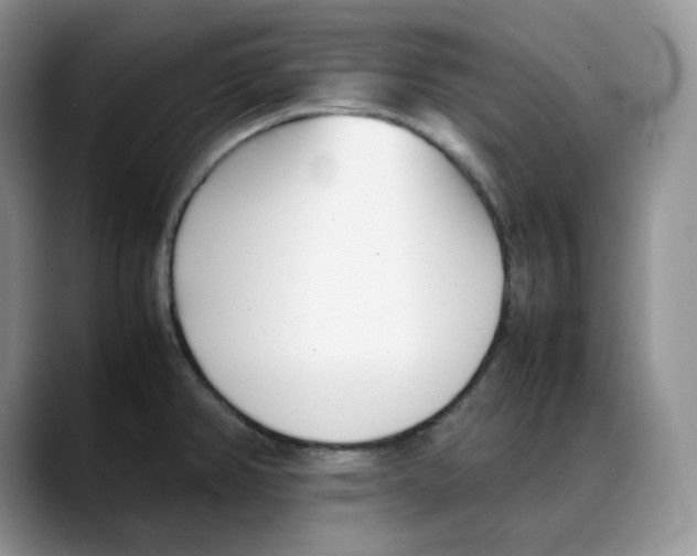 X0000088091382200706081741