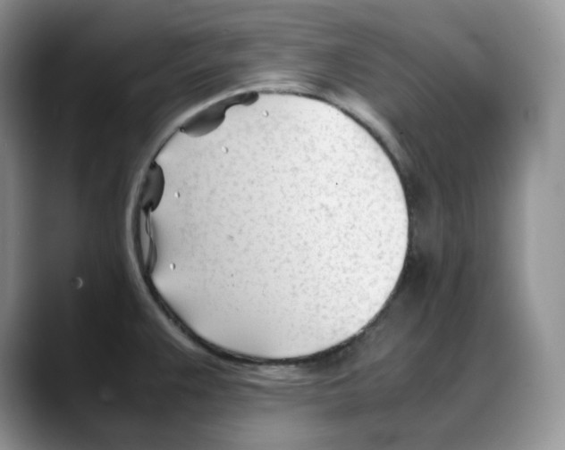 X0000088091383200706081741