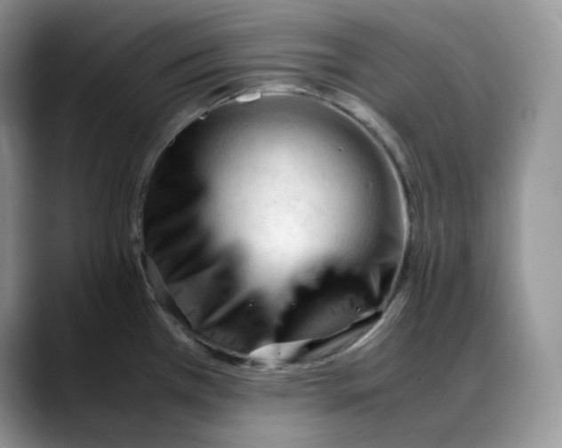 X0000088091385200706081741