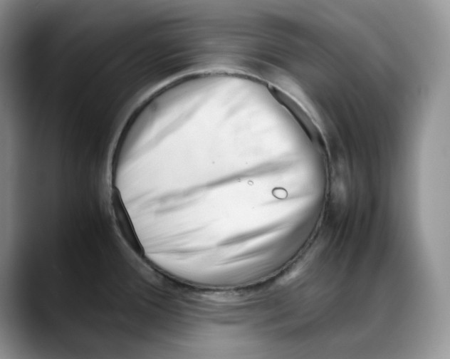 X0000088091388200706081741