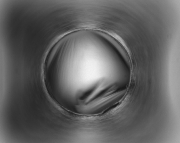 X0000088091389200706081741
