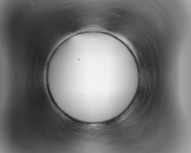 X0000088091390200706081741