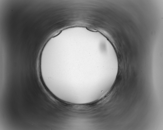X0000088091391200706081741