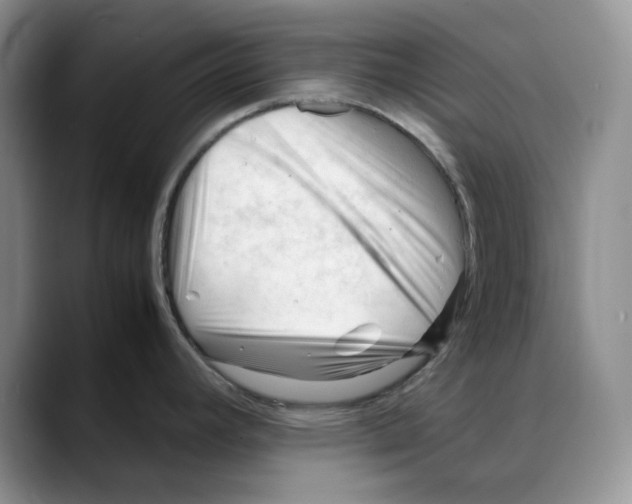 X0000088091392200706081741