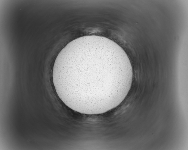 X0000088091393200706081740