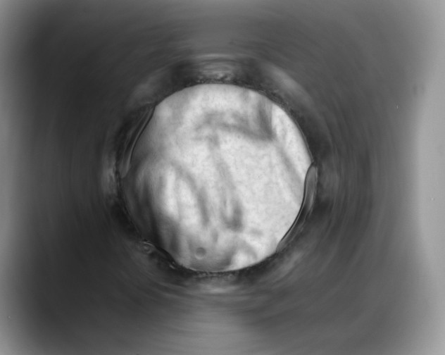 X0000088091394200706081740