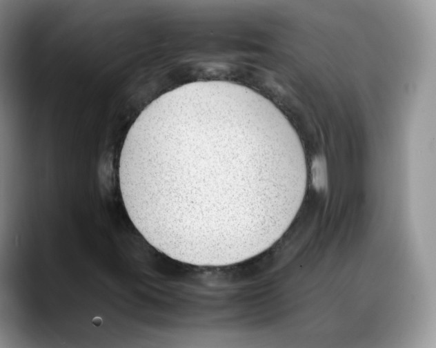 X0000088091395200706081741