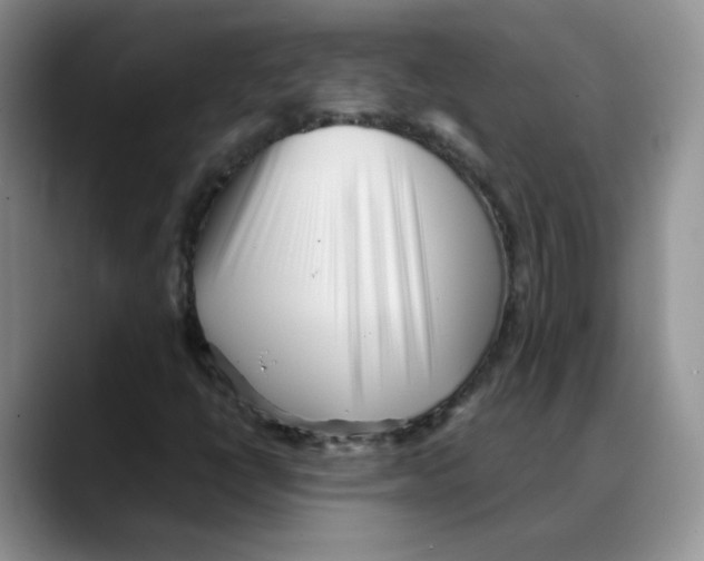 X0000088091398200706081741