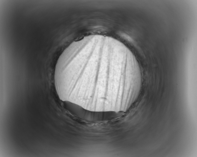X0000088091399200706081741