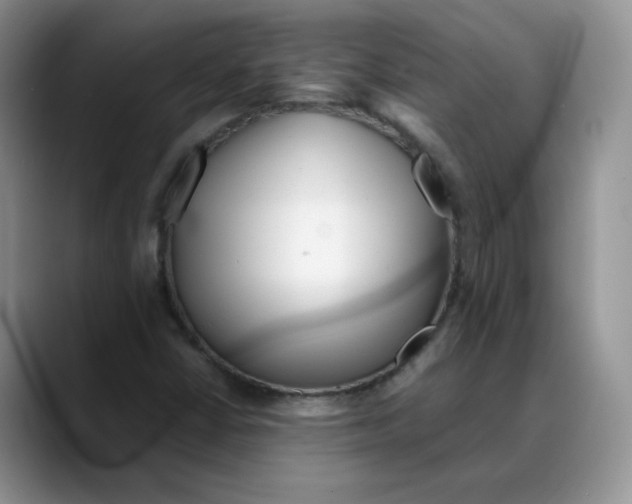 X0000088091402200706081741