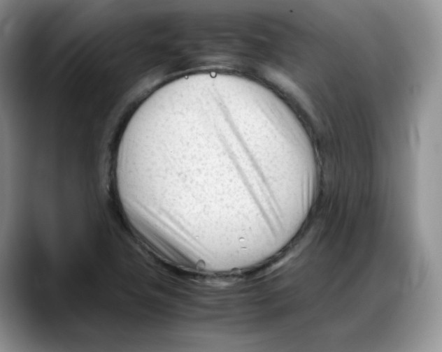 X0000088091411200706081741