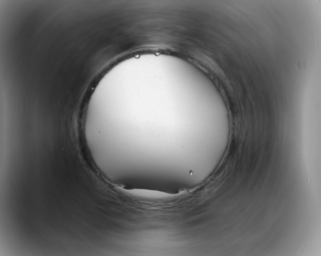 X0000088091412200706081741