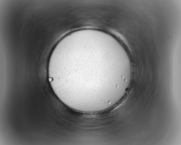 X0000088091415200706081741