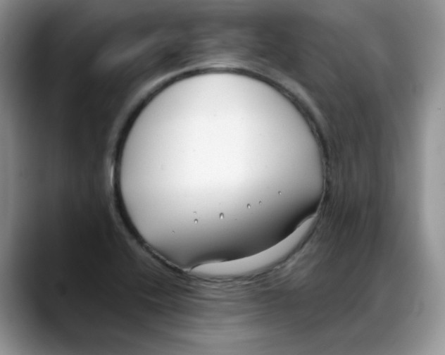 X0000088091416200706081741