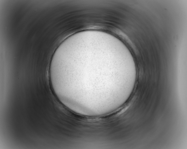 X0000088091417200706081741
