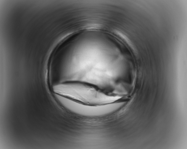 X0000088091418200706081741