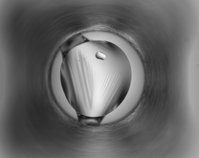 X0000088091422200706081741