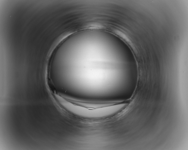 X0000088091426200706081741