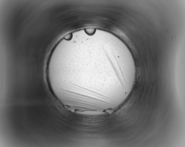 X0000088091427200706081741
