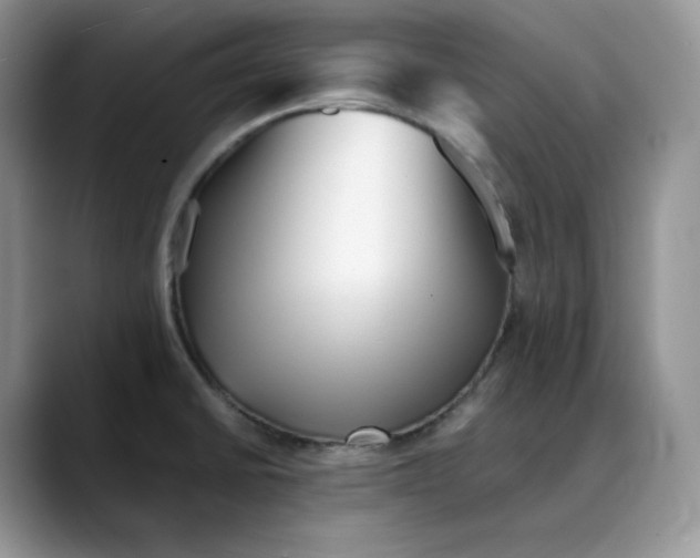 X0000088091430200706081741