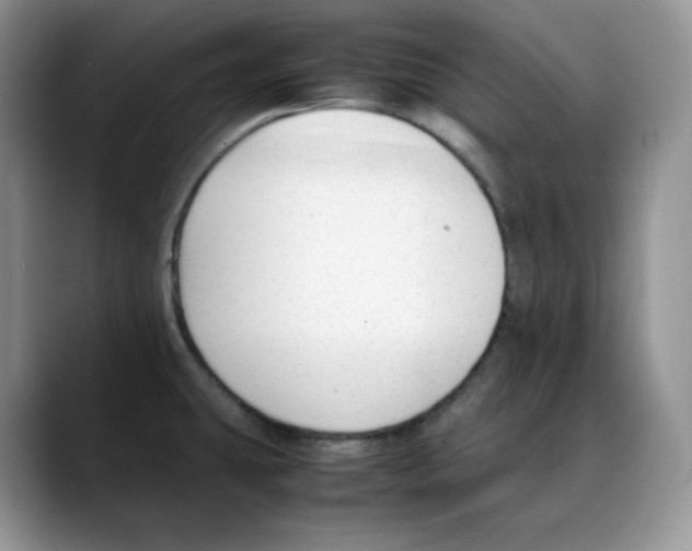 X0000088091431200706081741