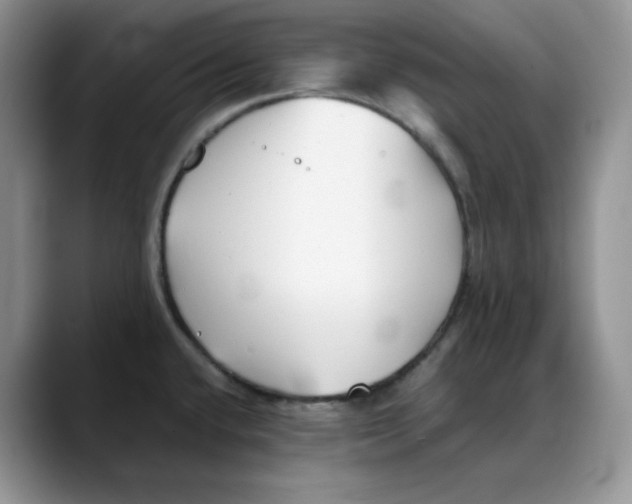X0000088091432200706081741