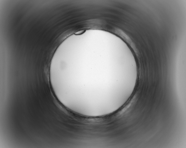 X0000088091433200706081741