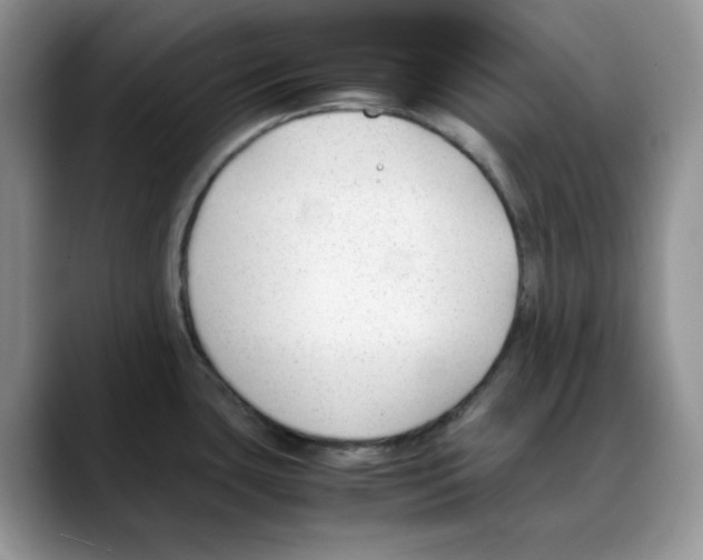 X0000088091435200706081741