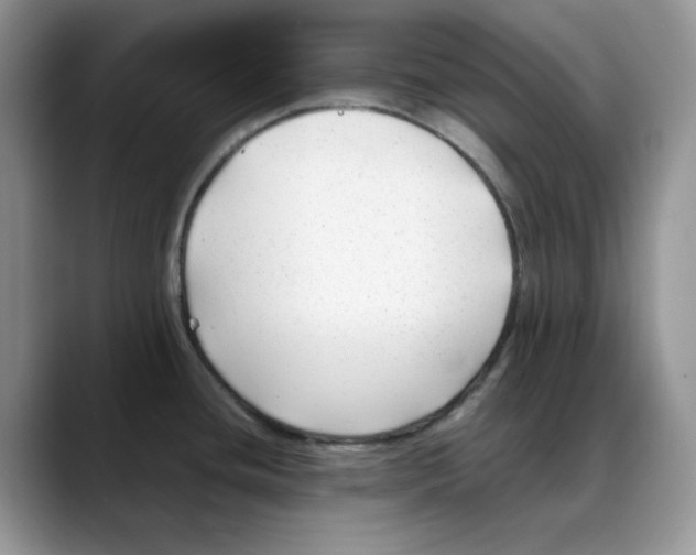 X0000088091436200706081741
