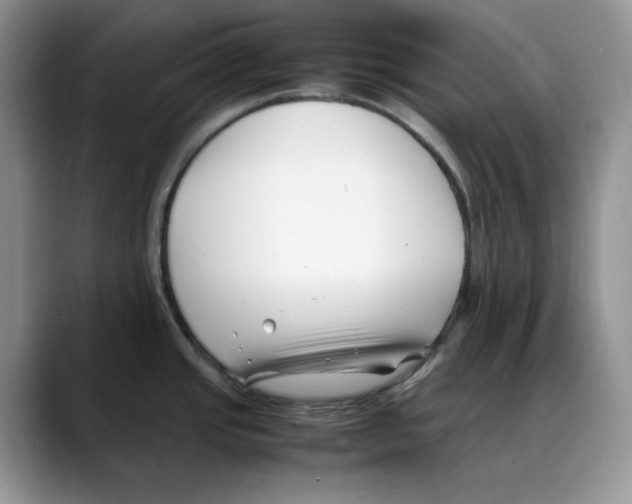 X0000088091437200706081741