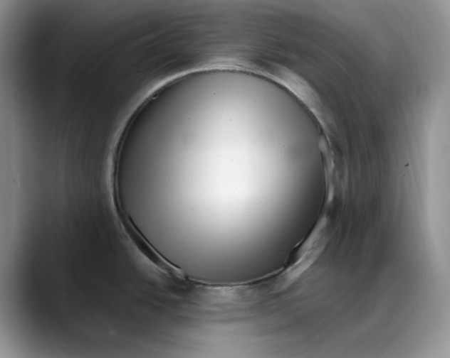 X0000088091438200706081741
