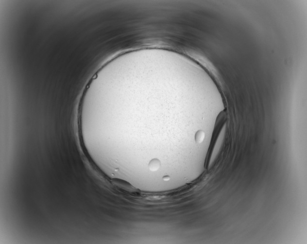 X0000088091439200706081741