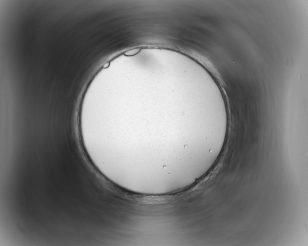 X0000088091440200706081741