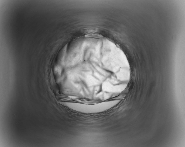 X0000088091441200706081740