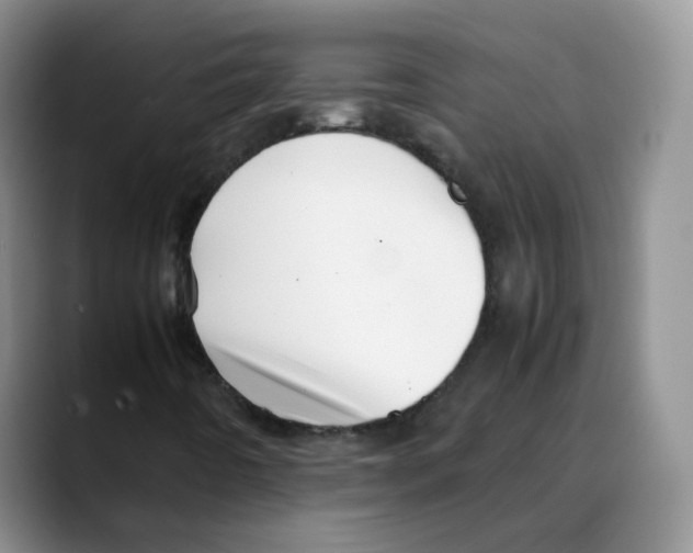 X0000088091442200706081740