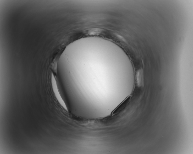 X0000088091443200706081740