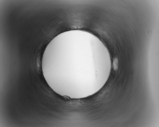 X0000088091444200706081740