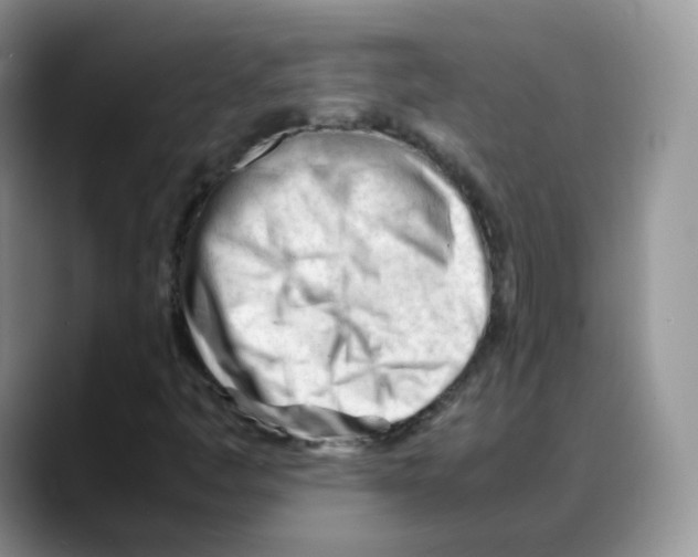 X0000088091445200706081740