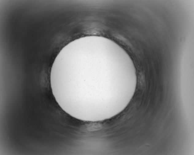 X0000088091446200706081740