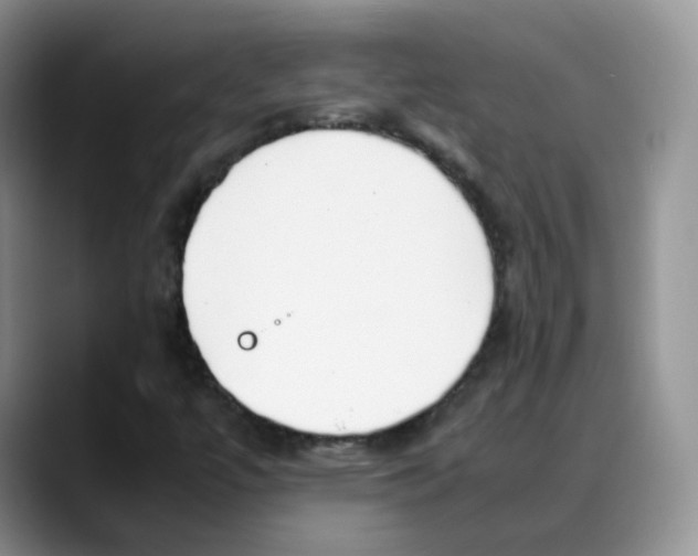 X0000088091447200706081740