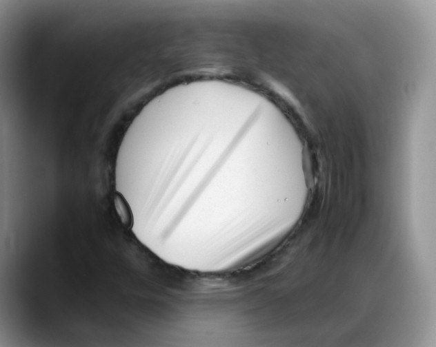 X0000088091448200706081740