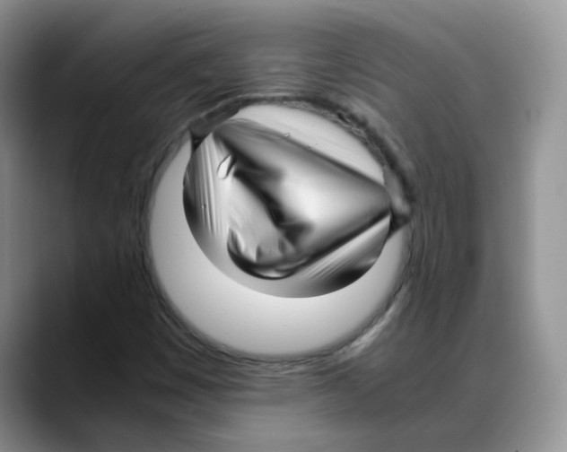 X0000088091449200706081740